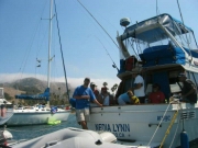 Whites Catalina 2005 04645.JPG: 2005/07/25 - Catalina - 2005